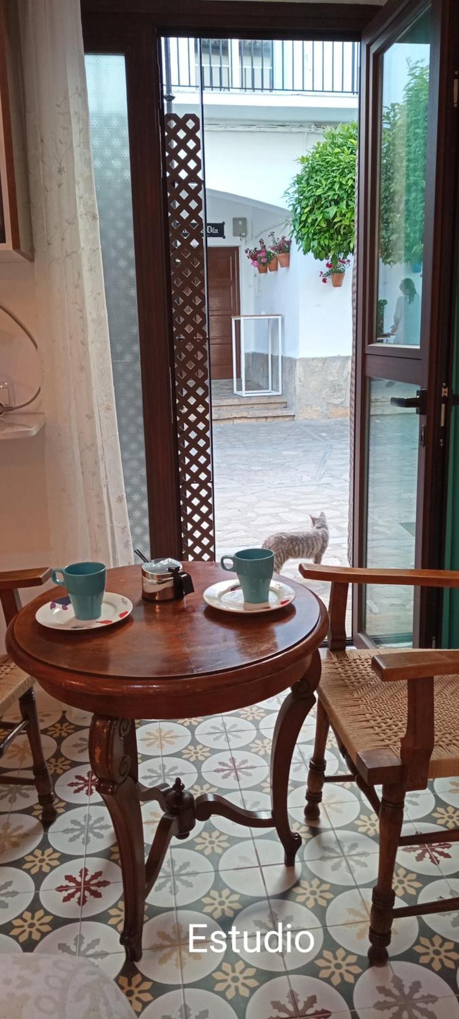 El Detalle Apartamento Y Estudio ซาอารา เด ลาเซียร์รา ภายนอก รูปภาพ